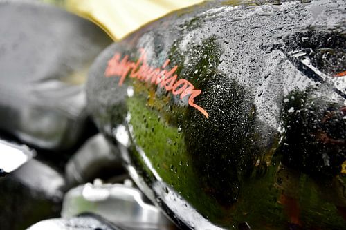 Harley Davidson de legende onder de motorfietsen