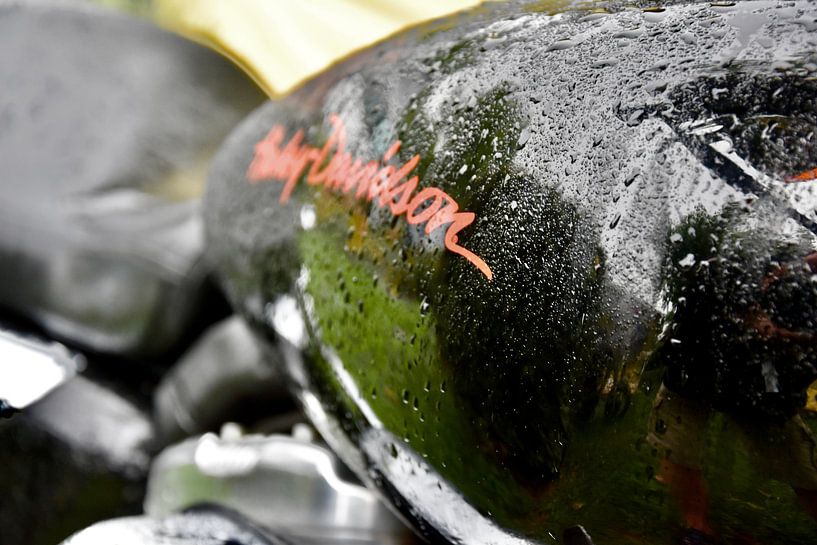 Harley Davidson die Legende unter den Motorrädern von Jan Radstake