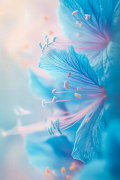 Blauwe bloemenpracht