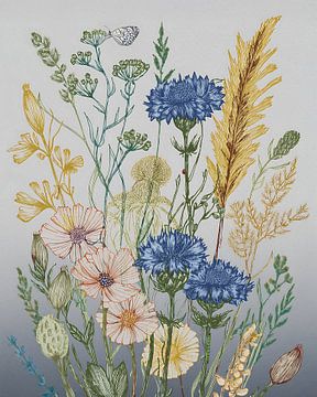 Botanische Illustration: Kornblumen auf dem Feld von Studio Pieternel
