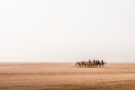 En route through Wadi Rum desert in Jordan by Jelmer Laernoes thumbnail
