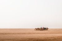 Auf dem Weg durch die Wüste Wadi Rum in Jordanien
