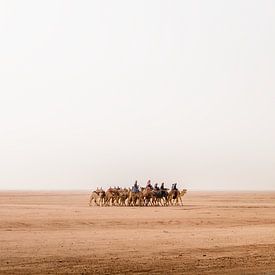 Onderweg door Wadi Rum woestijn in Jordanië van Jelmer Laernoes