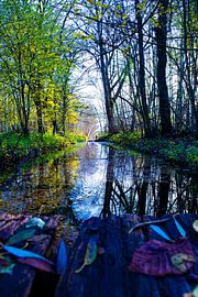 Wald Reflexion von Art Pictures by  Lotte