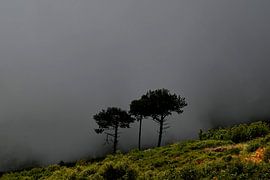 LIOGARA 2 by Miroslav Ptacek