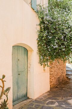 Roze muur met groene deur in Collioure, Zuid-Frankrijk van Jasmijn Brussé