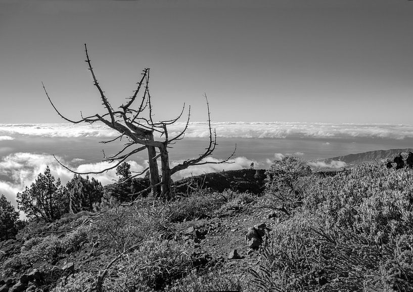 La Palma über den Wolken von Han van der Staaij