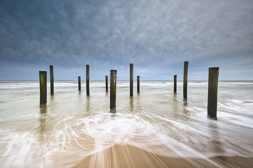 Palm village near Petten by peterheinspictures