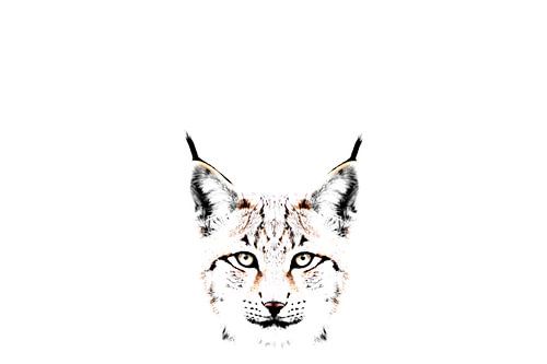 Artistiek portret van een lynx