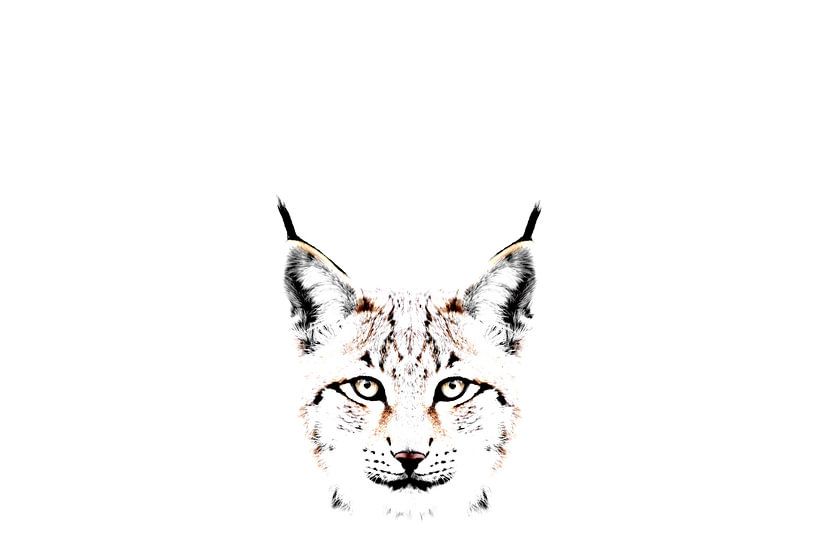Artistic portrait of a lynx by Sonja Foerster-Odenthal