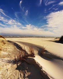 Ameland dunes and sea by . Groningenart
