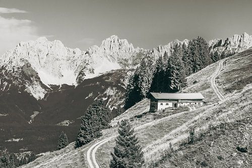 Bergbauernhof bei Kitzbühel in Österreich - Schwarzweiss von Werner Dieterich