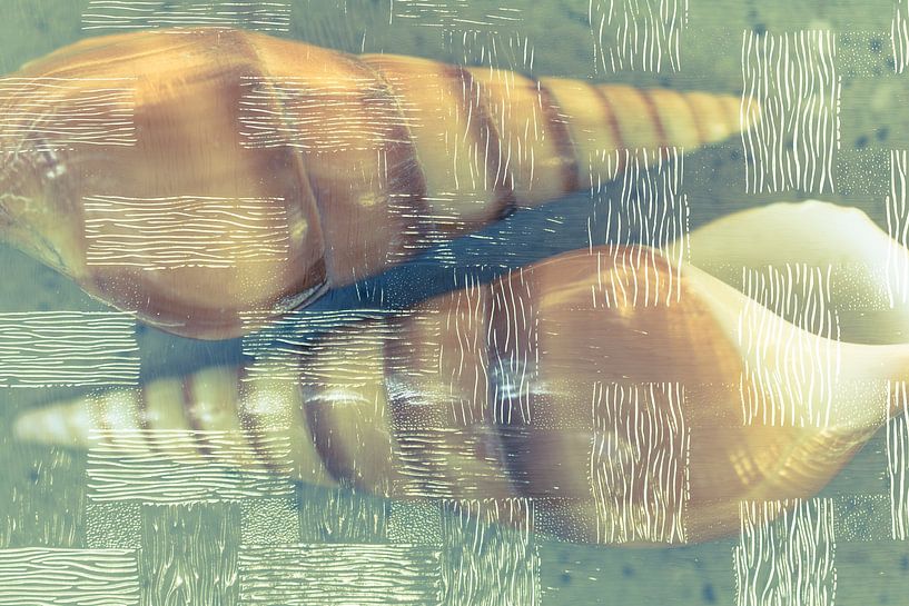 Kunstvolles Streifenmuster mit zwei Muscheln von Lisette Rijkers