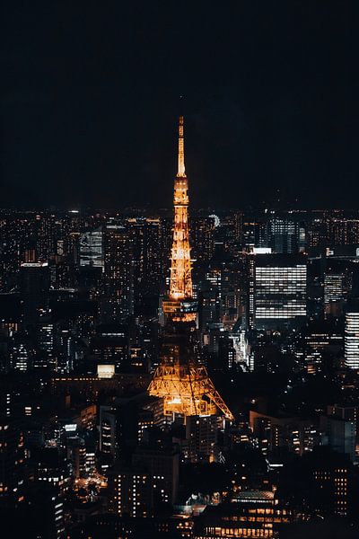 Tokyo Tower by Hello Pompoyo