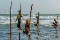 Stelt fishermen in Sri Lanka by Richard van der Woude thumbnail