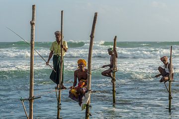 Stelt fishermen in Sri Lanka by Richard van der Woude