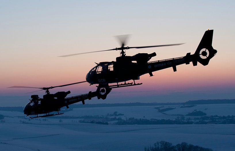 Photoflight French Army by Nico van Remmerden