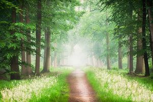 Der Weg zur Gelassenheit