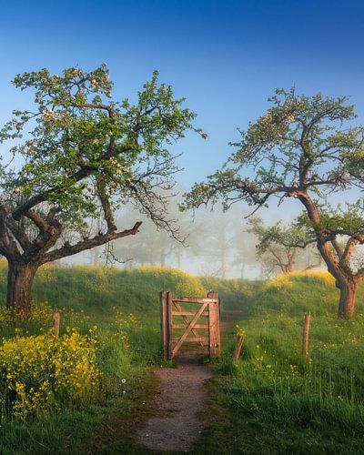 Deur naar sereniteit