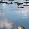 Pierre dans la mer des Wadden près de Moddergat sur Helene Ketzer