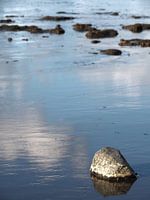 Stone in the Wadden Sea near Moddergat