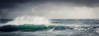 The wave