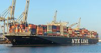 Navire porte-conteneurs de cargaison sur un terminal de récipient dans le port de Rotterdam par Sjoerd van der Wal Photographie Aperçu