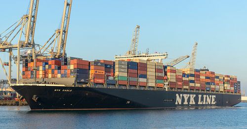 Containerschepen in de haven van Rotterdam