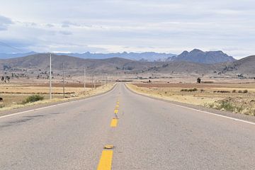 Highway 6 Sucre - Potosi by Barbara Bakker