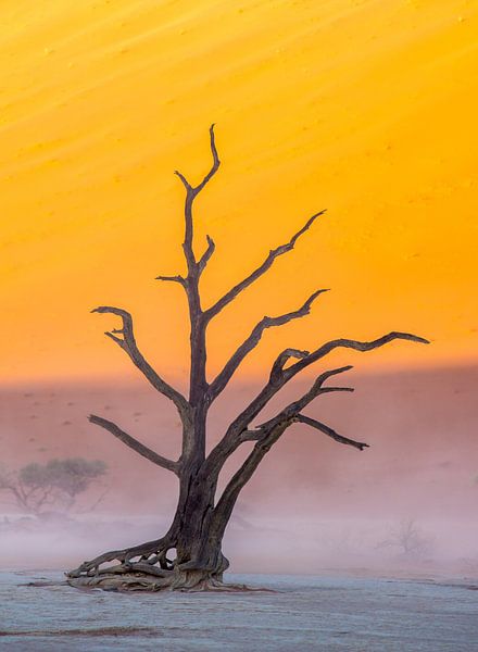 Toter Vogel Sandsturm von Steven Driesen