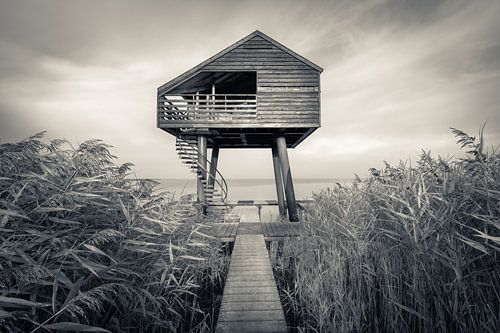 Bird watching hut 'Kiekkaaste'on the Wadden Sea at dawn