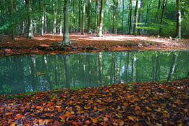 Landgoed Elswout by Michel van Kooten