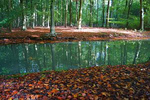 Landgoed Elswout sur Michel van Kooten