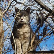 Cray Jasperson Profilfoto