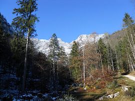 Blick auf die Mittagsscharte des Untersbergs von Helmut Martin