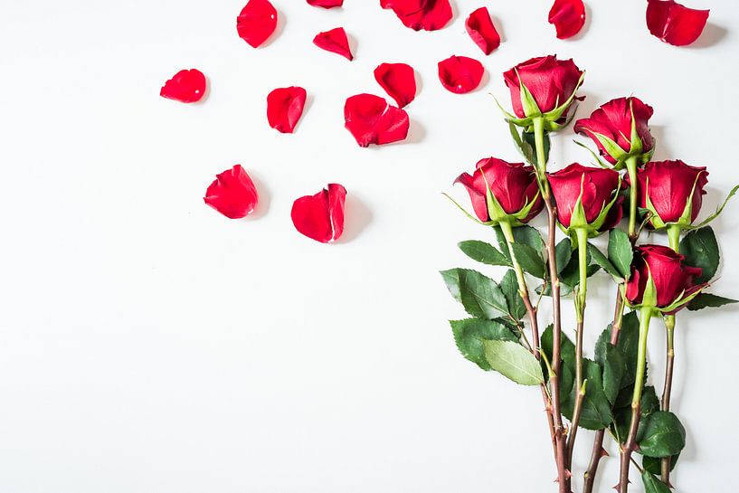 Red rose chaos by Atelier Liesjes