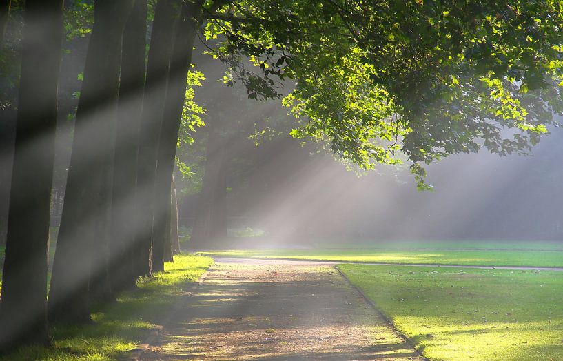 Licht am Morgen von Bernhard Kaiser