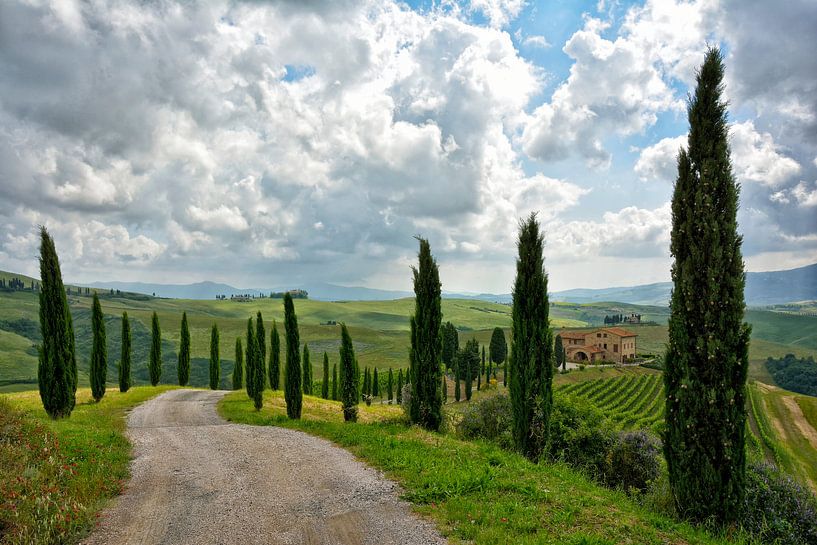 Tuscan Winery par Joachim G. Pinkawa