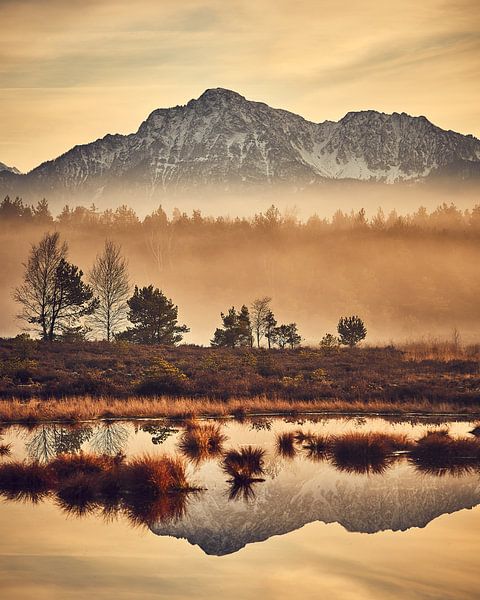 Evening in the bog by Sabrina von Bein