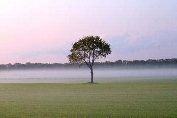 Misty tree van Rene Gerlofsma