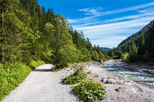 Sentier dans la vallée du Wimbach près de Ramsau dans le Berchtesgadener Land sur Rico Ködder