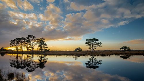 Sonnenuntergang im Nationalpark Dwingelderveld