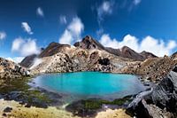 Tranquil wilderness