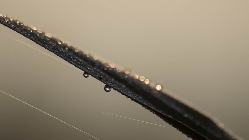 Zwei Tropfen Wasser von Frederik lembreght