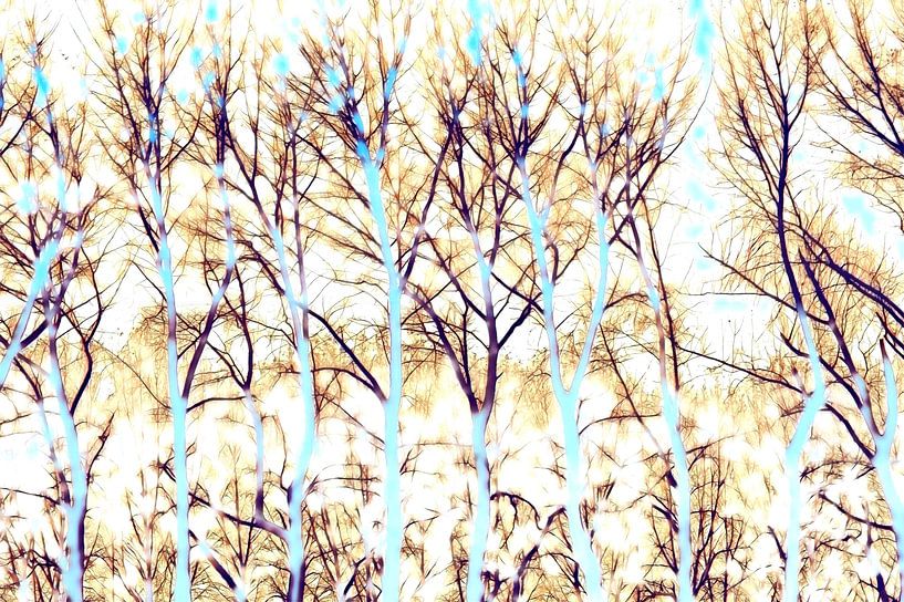 La forêt abstraite par Niek Traas