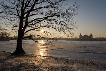 Winterlicher Sonnenuntergang am Schloss Moritzburg