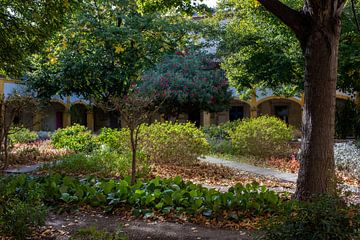 Van Goghs tuin in Arles van Flatfield