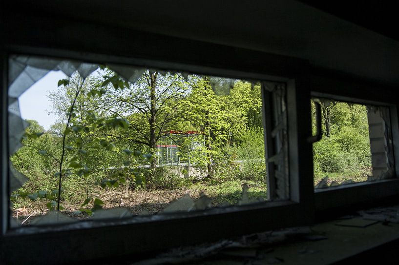 View through the glass panes by Norbert Sülzner