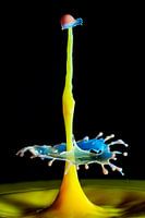 Die wunderbare Welt der Splash-Fotografie".