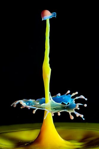 Die wunderbare Welt der Splash-Fotografie".